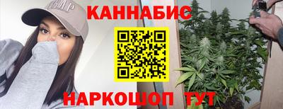 mdma Сланцы