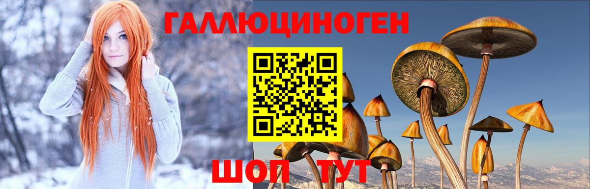 Псилоцибиновые грибы Psilocybine cubensis  Вход с VPN  Нурлат 
