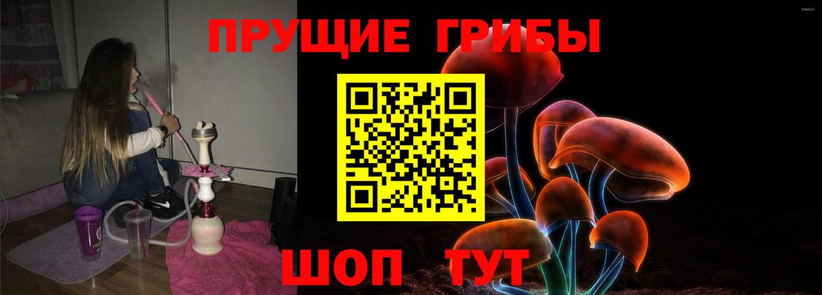 Псилоцибиновые грибы прущие грибы Нурлат
