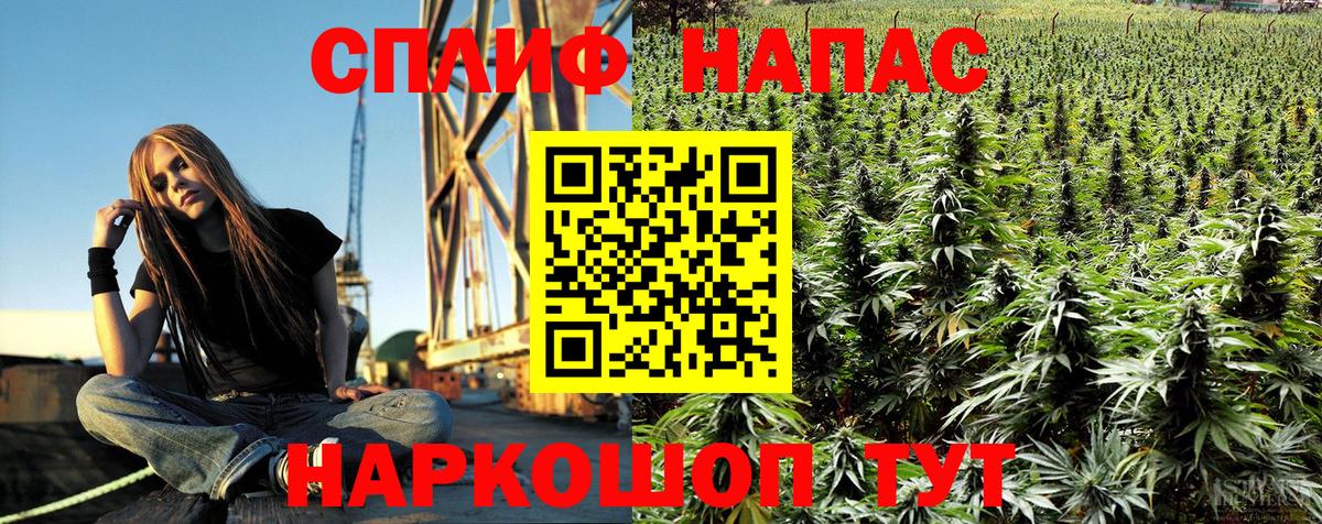 Бошки Шишки THC 21%  Конопля план  Нурлат  Вход с VPN  Бошки марихуана White Widow 